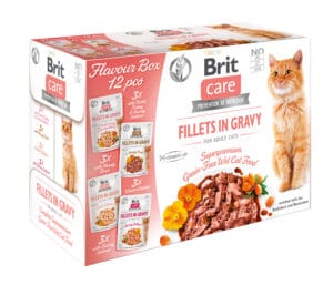 Υγρή Τροφή Brit Care® Cat Pouches Fillets in Gravy Flavour Box 12x85gr
