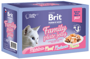 Υγρή Τροφή Brit Premium® Cat Jelly Pouches Family 12x85gr