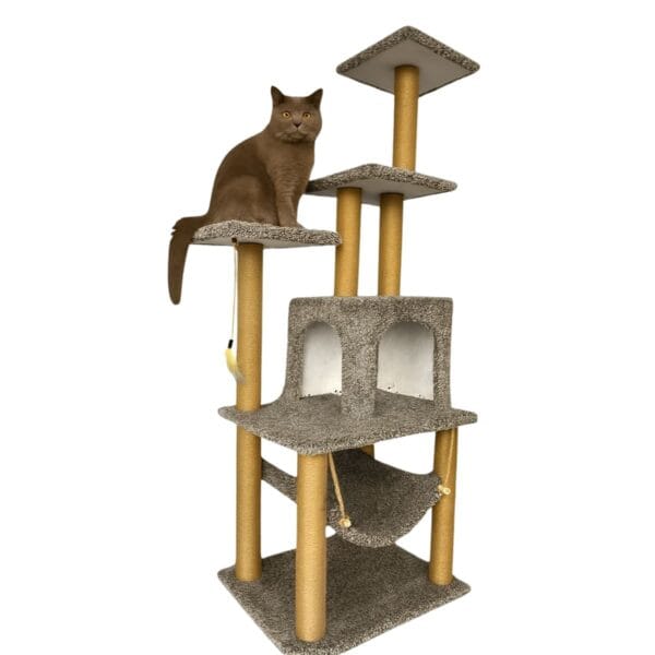 Ονυχοδρόμια Robert Shop Collection Ονυχοδρόμιο/Γατόδεντρο Mexico