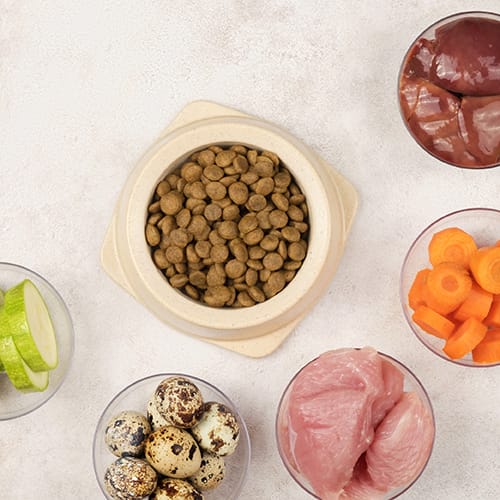 Dog-dry-food-500×500