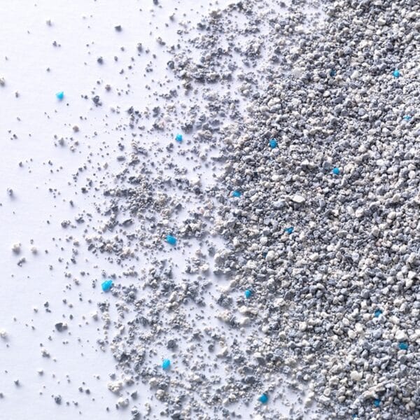 Άμμοι Υγιεινής Everclean Extra Strong Scented 6 lt 10 LT