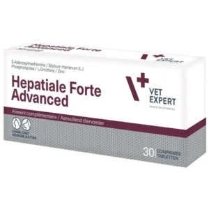 Συμπληρώματα Διατροφής Hepatiale Forte Advanced 40 tabs