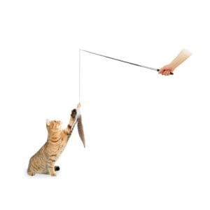 afp-paichnidi-gatas-instincts-feather-swirling-wan-af2012.jpg AFP Παιχνίδι Γάτας Instincts Feather Swirling Wand Bait