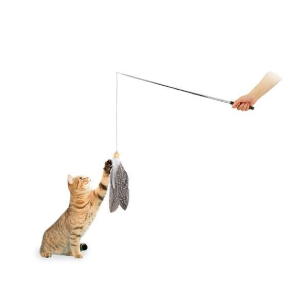 afp-paichnidi-gatas-instincts-feather-swirling-wan-af2013-4.jpg AFP Παιχνίδι Γάτας Instincts Feather Swirling Wand Teaser