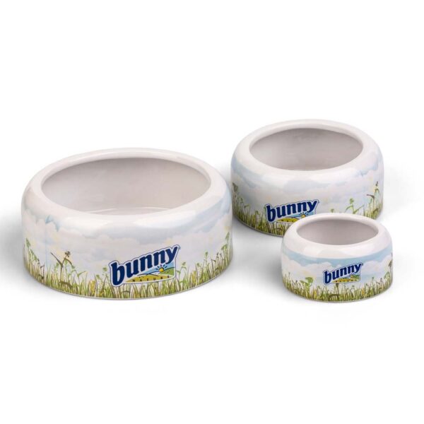 bunny-mpol-x-large-1000ml-bu17015.jpg BUNNY Μπολ X-Large - 1000ml