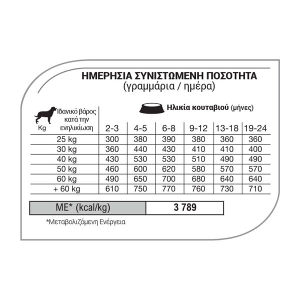 Equilibrio Ξηρά Τροφή Σκύλου Puppy Large Breed με Πουλερικά