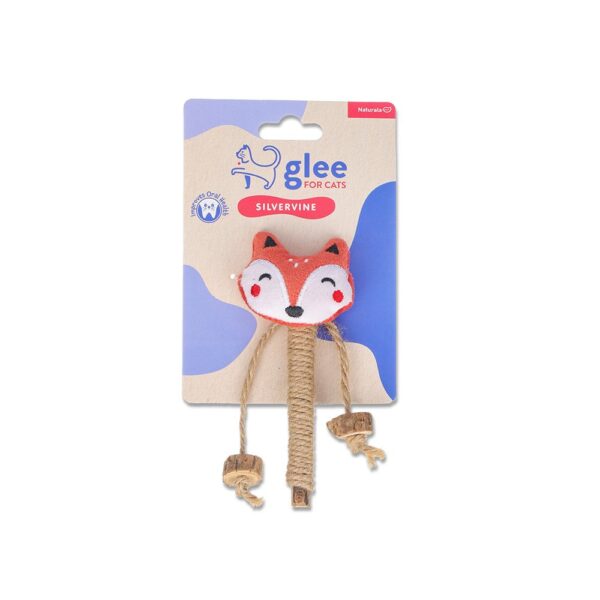 glee-fox-91153.jpg GLEE Fox