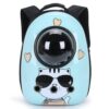 glee-sunglasses-cat-89051.jpg GLEE Sunglasses Cat